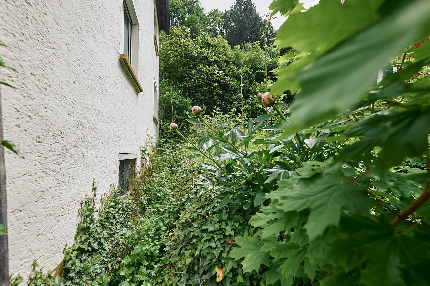 Gartenbereich neben dem Objekt 